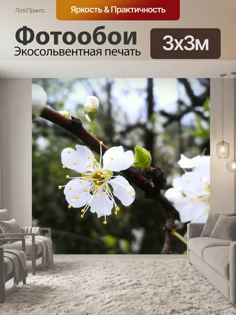Фотообои Цветение мартовского персика