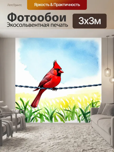 Фотообои птица, красный кардинал, мирно сидящая на проводе среди полей зелени, с живописным небом на фоне