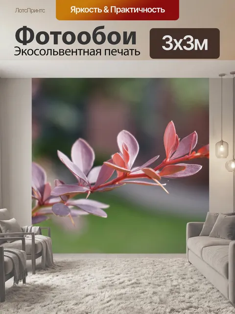 Фотообои Растение