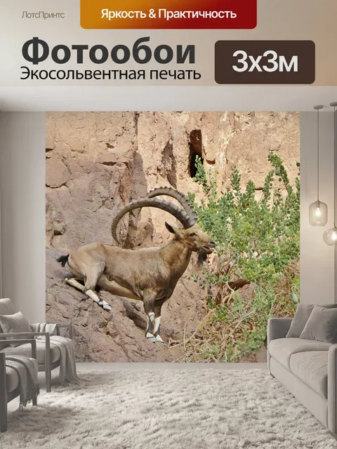 Фотообои Козел