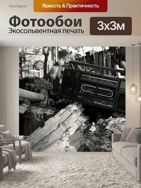Фотообои Черное и белое