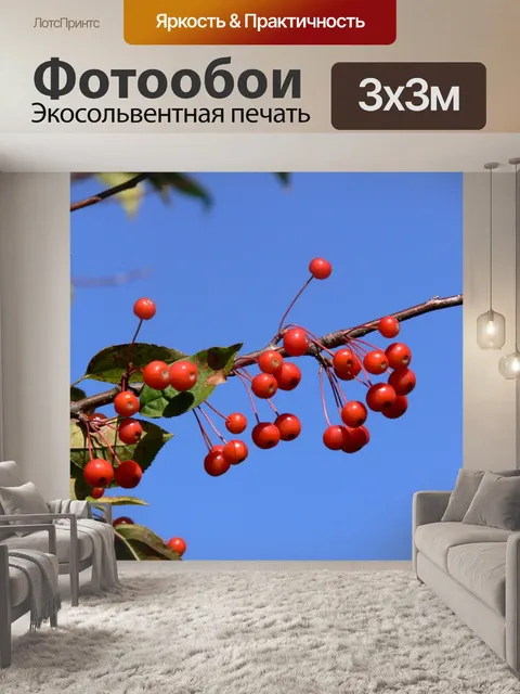 Фотообои Красные ягоды