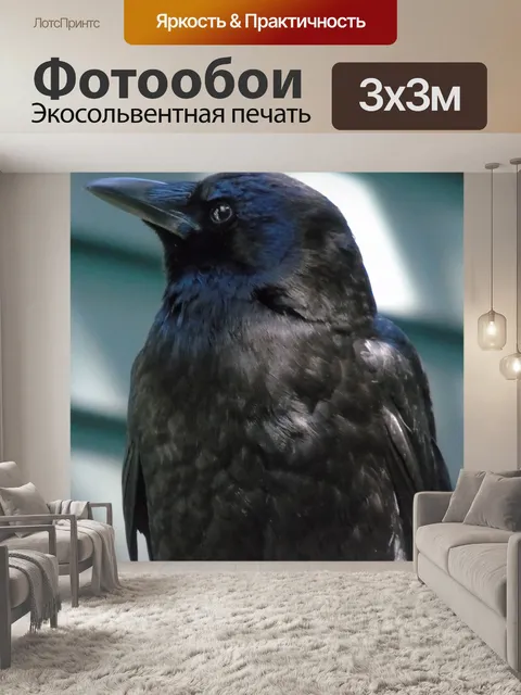 Фотообои ворона III