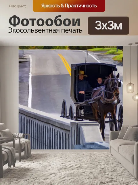 Фотообои Пара амишей