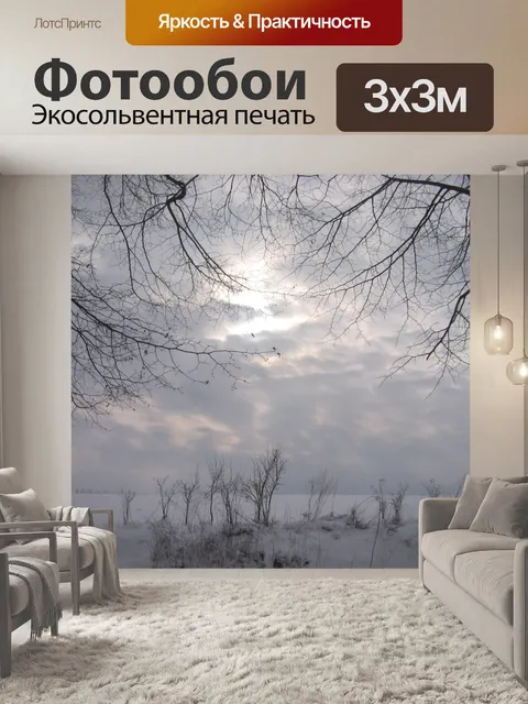 Фотообои Зимний день