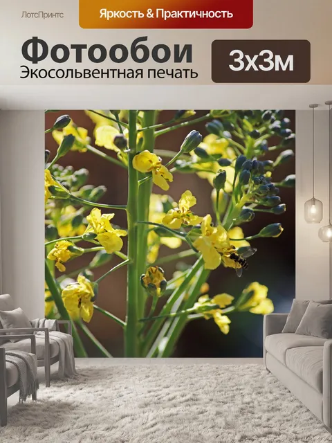 Фотообои Пчела на желтых цветках брокколи