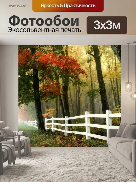 Фотообои Раннее утро