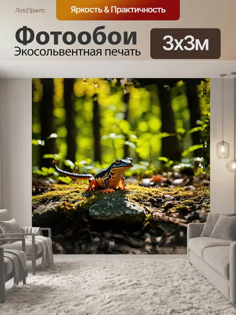 Фотообои обыкновенная жаба запрыгивает с одного камня на другой, где на открытом месте царит солнечный свет