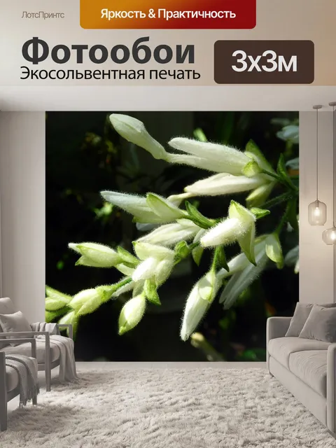 Фотообои Завод