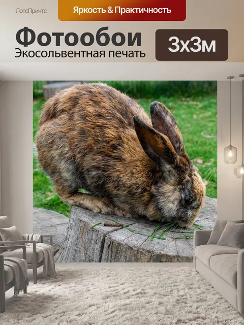 Фотообои Кролики