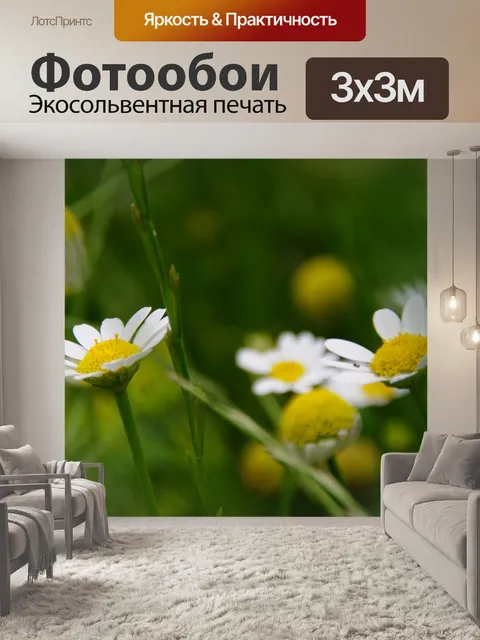 Фотообои Белые ромашки в поле