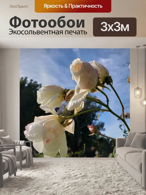 Фотообои Розовый цветочный фон