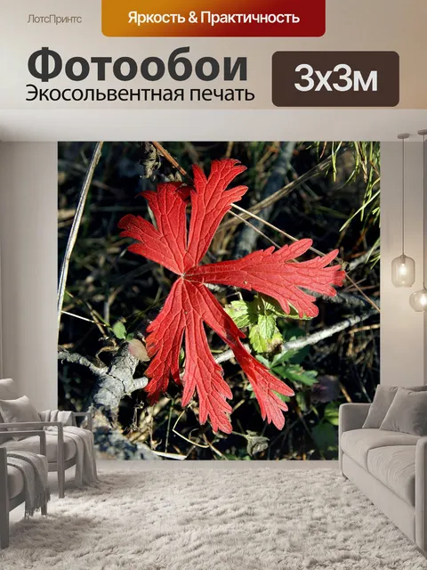 Фотообои Лист земляники