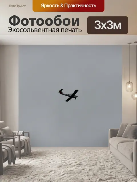 Фотообои Малый самолет