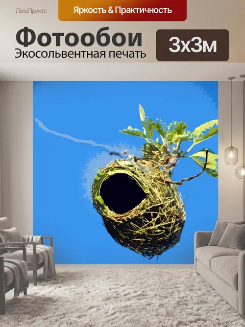 Фотообои вырезанное изображение гнезда ткача&amp;