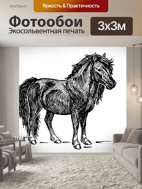 Фотообои Шетландские Пони, Лошадь Clipart