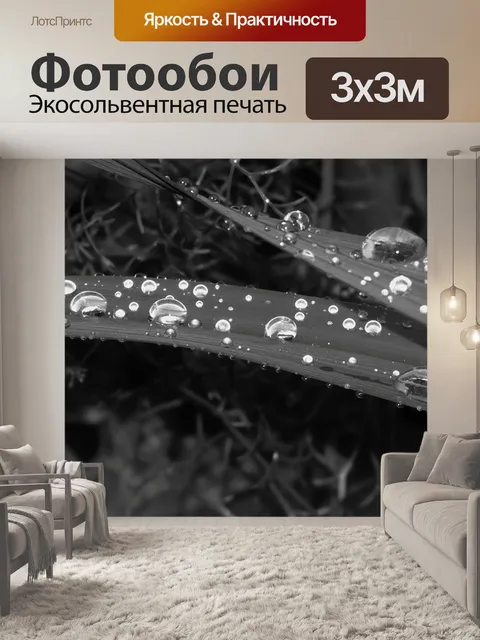 Фотообои Черное и белое