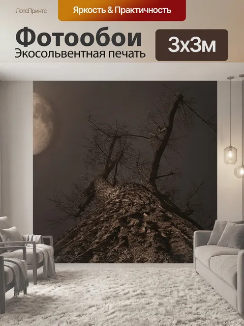Фотообои Луна
