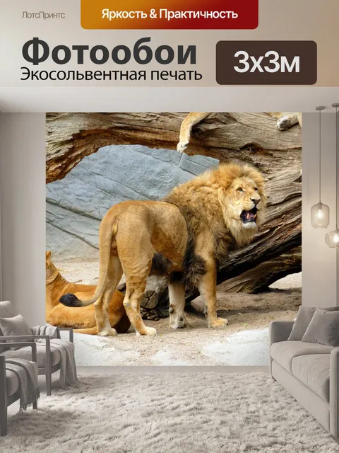 Фотообои Лев