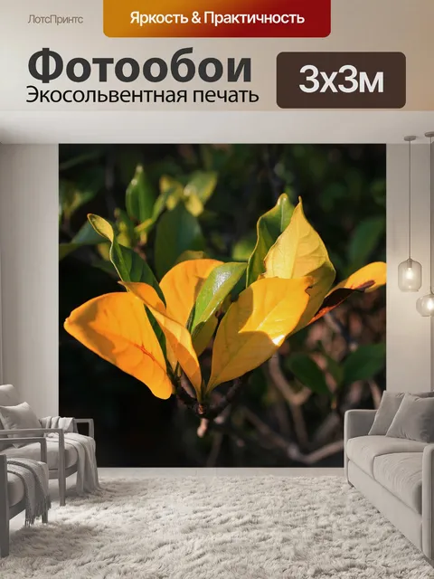 Фотообои Кластер из желтых листьев гардении