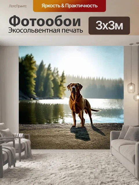 Фотообои лабрадор ретривер, величественно стоящий на краю живописного озера, его шерсть искрится под солнечными лучами
