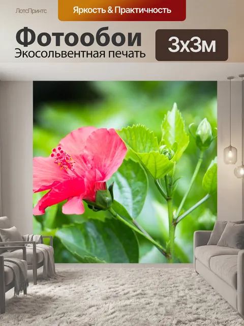 Фотообои Цветы