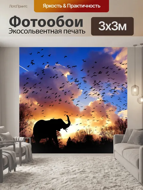 Фотообои Слон