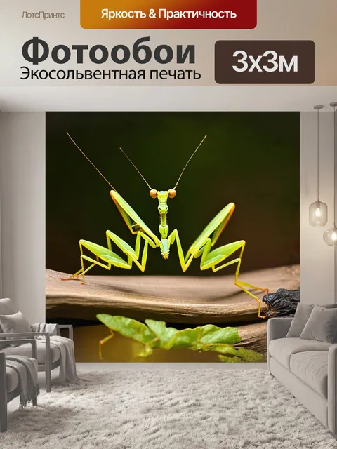 Фотообои резкий фокус на передней части тела насекомого