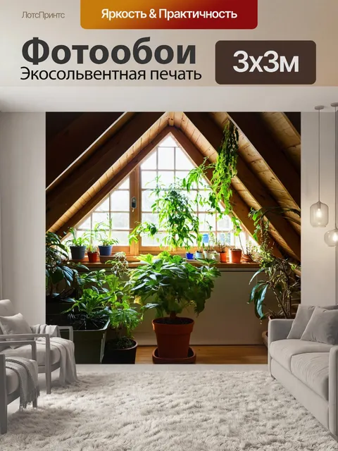 Фотообои мансарда с зелеными растениями и естественным светом