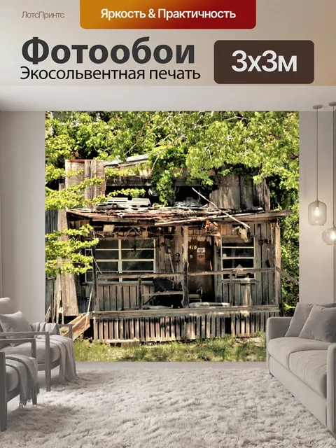 Фотообои Старый заброшенный дом в стране