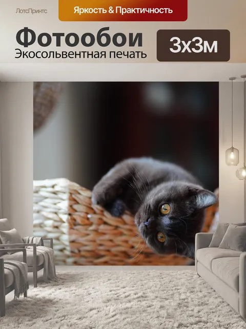 Фотообои Кошка