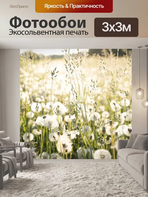 Фотообои Одуванчики