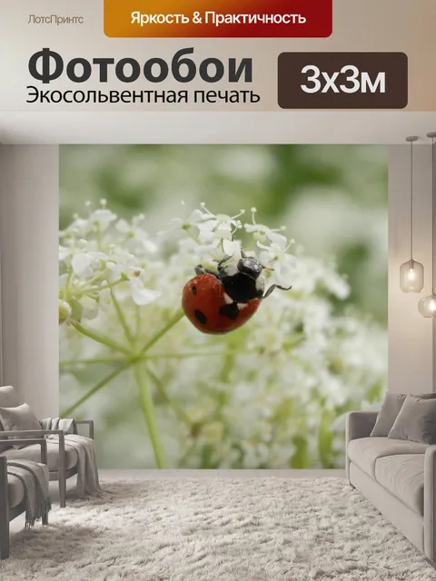 Фотообои Божья коровка
