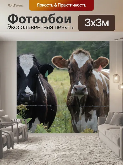 Фотообои Коровы