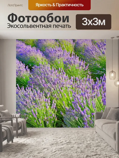 Фотообои прованс показывают пышные цветущие поля