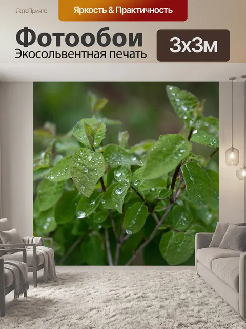 Фотообои Листья