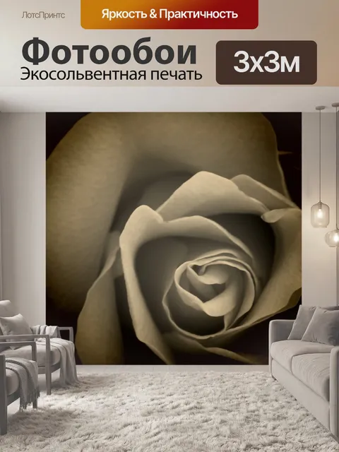 Фотообои Роза