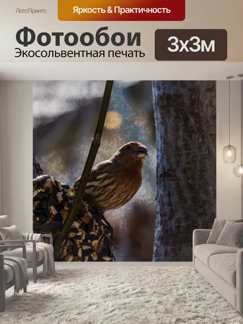 Фотообои Дом Финч Эскиз