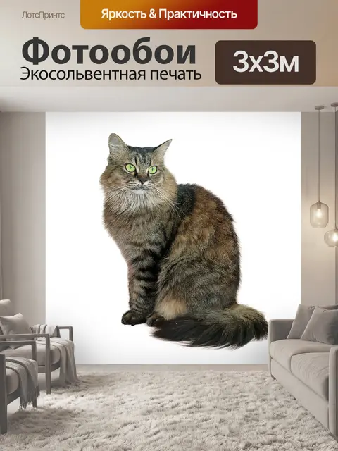Фотообои Изображение обрезано