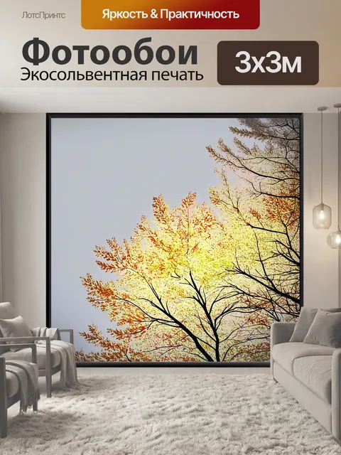 Фотообои листья жёлтой берёзы на фоне серого осеннего неба, обрамленные тонкими ветками