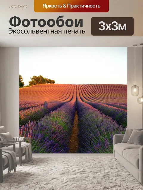 Фотообои Лаванда
