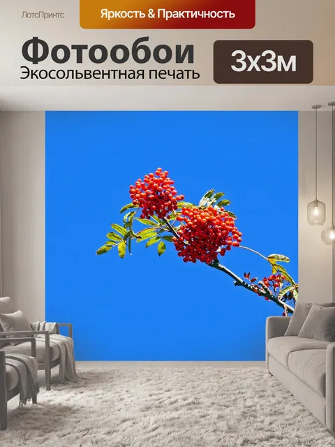Фотообои Ягоды рябины