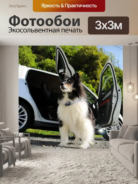 Фотообои Собака