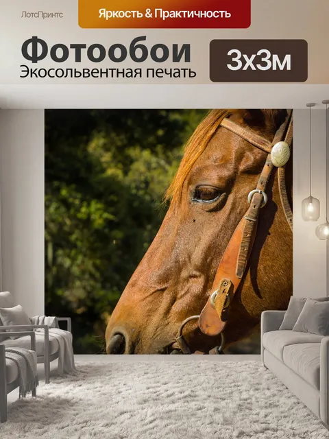 Фотообои Лошадь