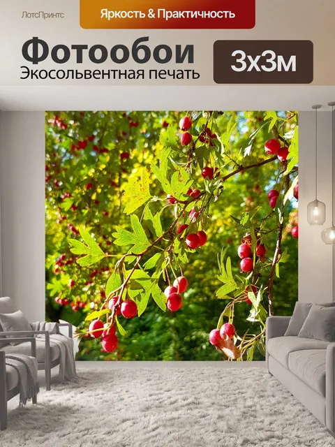 Фотообои Дерево