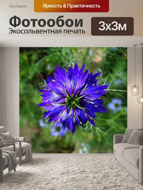 Фотообои Борзаската