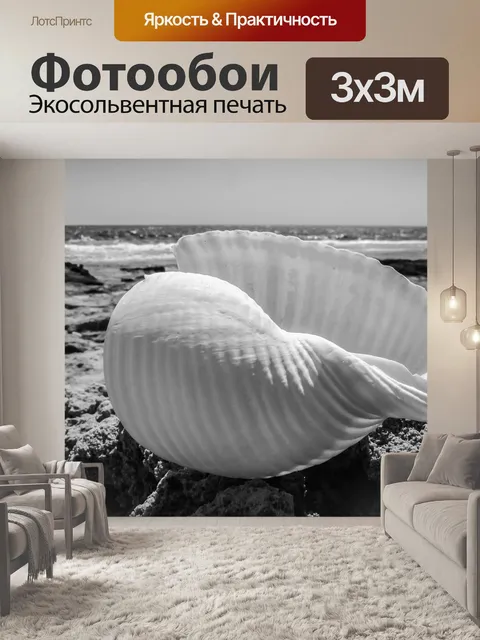 Фотообои Морская ракушка