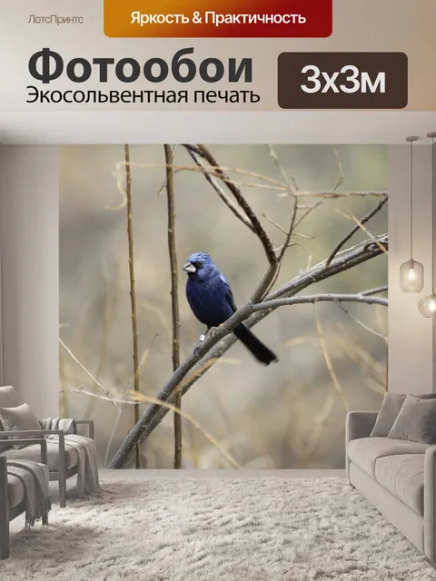 Фотообои Птица