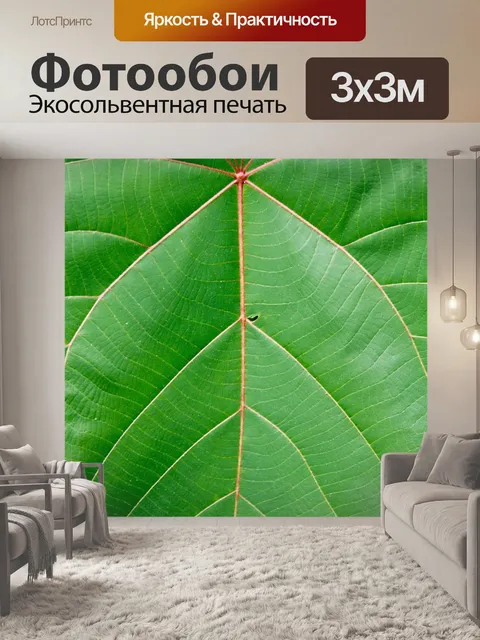 Фотообои Пальма