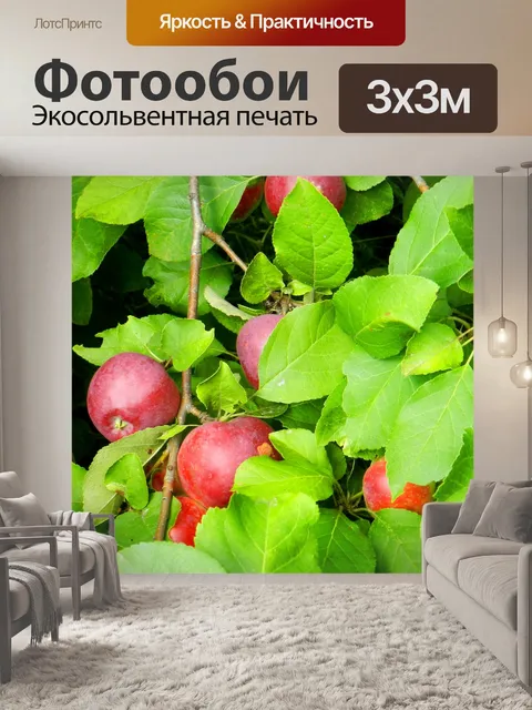 Фотообои Яблоко сезон (3)